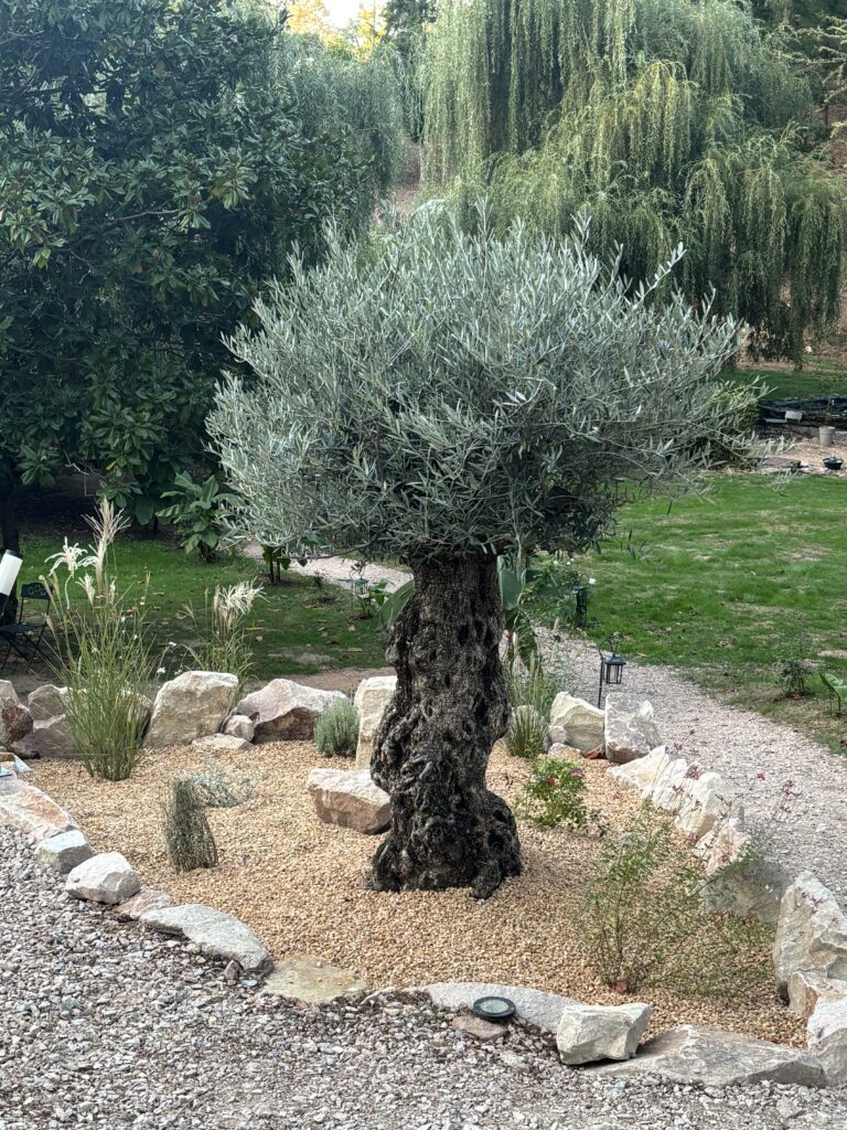 nature detente verdure